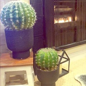 Faux cacti 🌵 duo